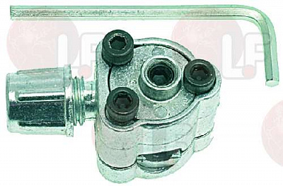 ���� BPV31