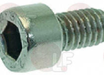 STAINLESS STEEL SCREW M6x8