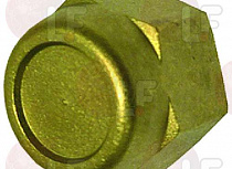 BLIND NUT 1/2" sae