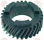 �������� 29 ������