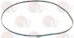 BACK COLLAR