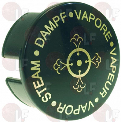 STEAM CAP ��������