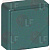 SWITCH BUTTON