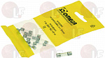 DELAY FUSE 5x20 - 10 PCS