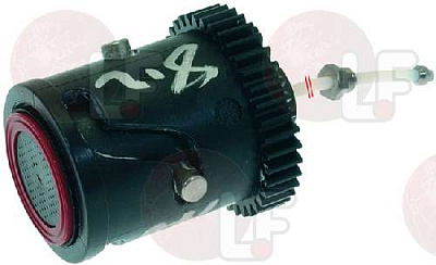 COMPLETE SHOWER HOLDER PISTON