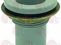 COMPLETE DRAIN ASSEMBLY