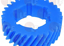 NYLON GEAR 31 ������