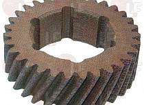 NYLON GEAR 31 ������