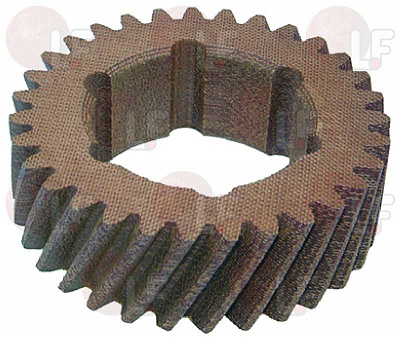 NYLON GEAR 31 ������