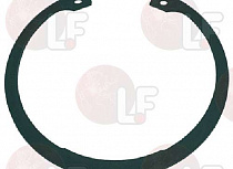 SEEGER RING ? 100 ��