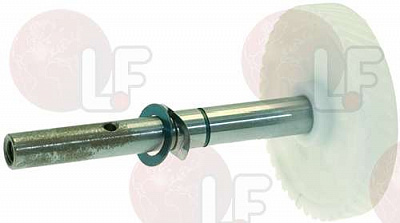 GEAR ? 57 �� 41 ������