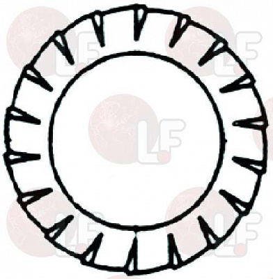 TOOTHED WASHER EXT.? 6x11x0,7 �� -200PCS