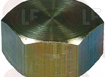BRASS LID ? 1/2"F
