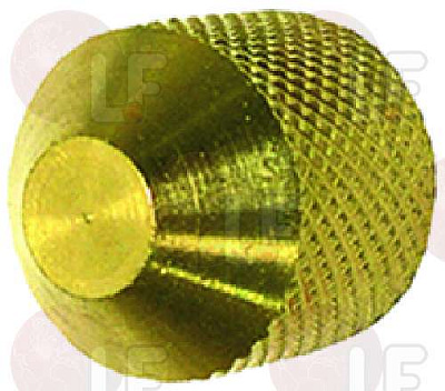 VALVE CAP