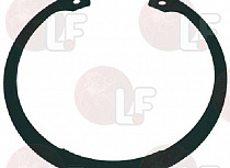SEEGER RING
