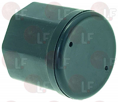 ����� (������ ������)