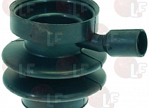 ������ �������