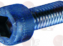 BRASS WORM SCREW